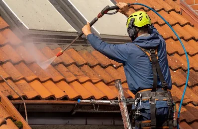 Démoussage et hydrofuge de toiture à Bellebrune